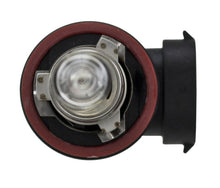 Laden Sie das Bild in den Galerie-Viewer, Hella H9 12V 65W PGJ19-5 HP 2.0 Halogen Bulbs